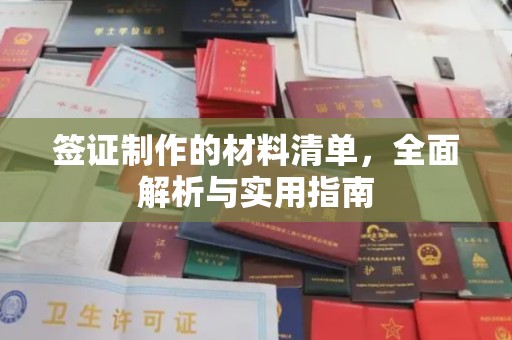 瑞昌签证制作的材料清单，全面解析与实用指南